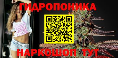 не бодяженный Новозыбков