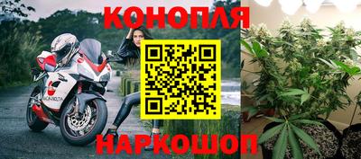 спайс Новодвинск