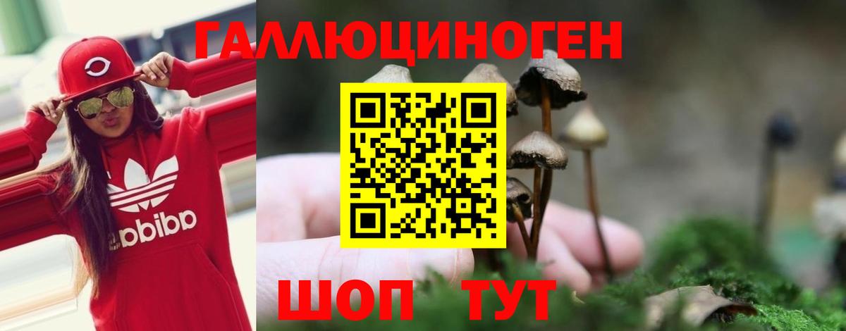Псилоцибиновые грибы мухоморы  купить  цена  Тамбов  Вход с VPN 
